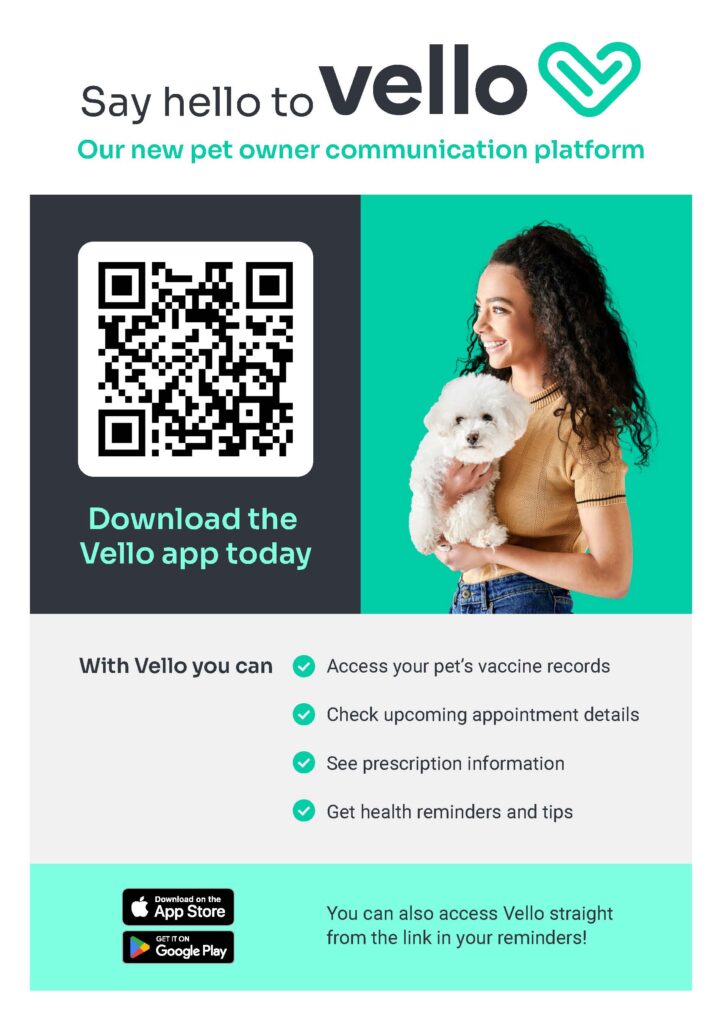 Download Vello
