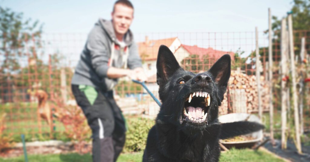 man with dog barking aggressively on a leash wondering how to stop a dog from barking