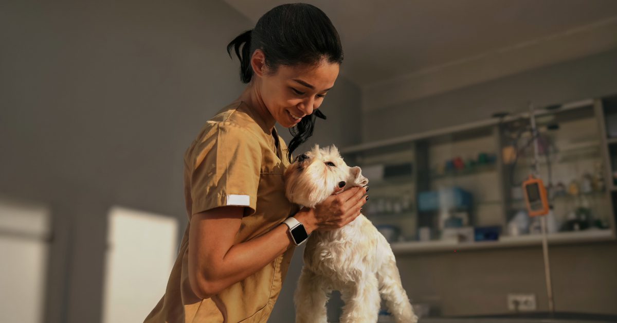 female vet examining dog at clinic